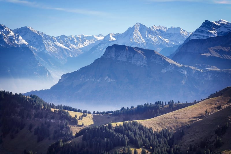 Whitepod - Swiss Alps